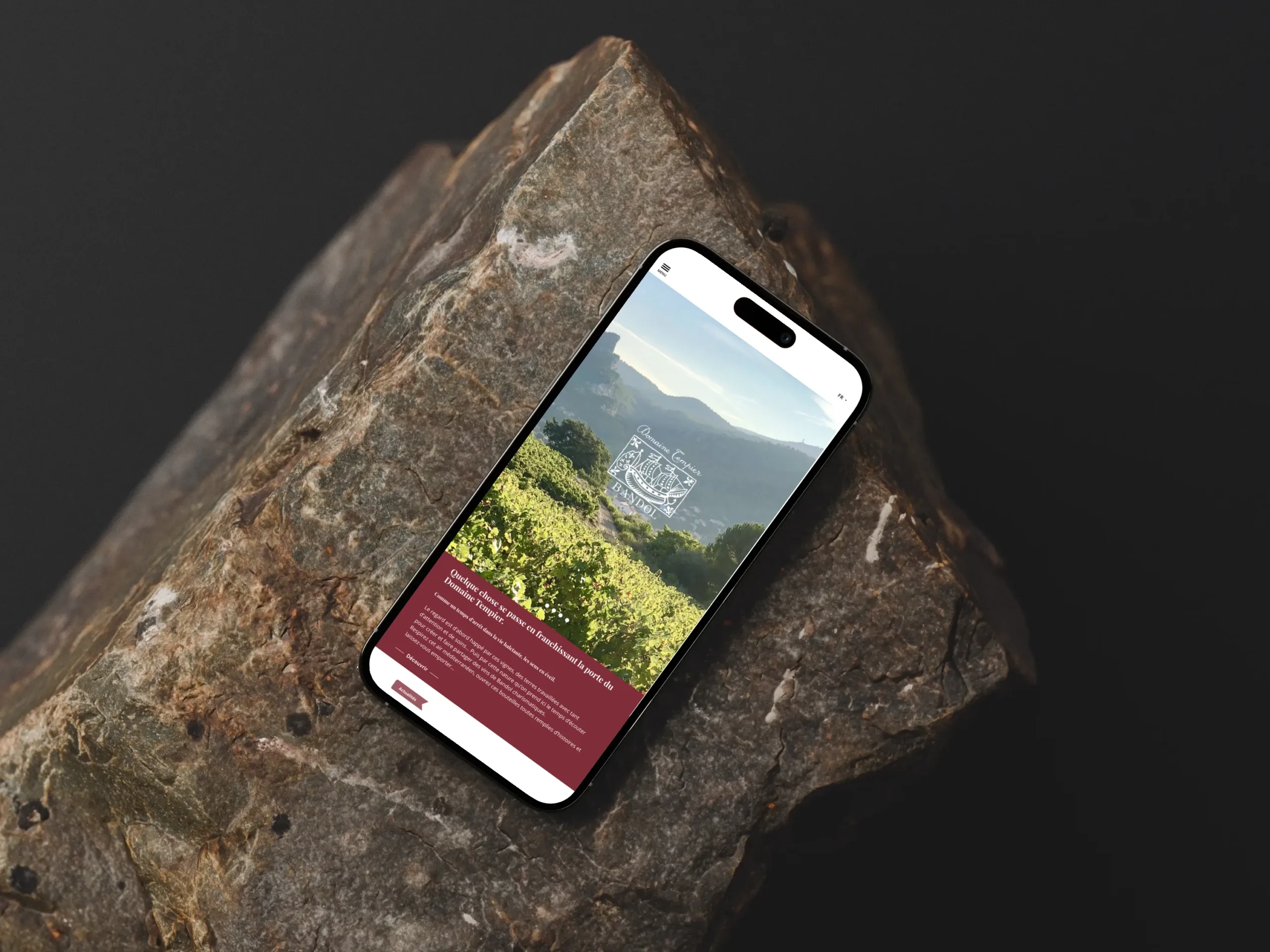 Version mobile du site du Domaine Tempier à Bandol, présentant le vignoble et le domaine.